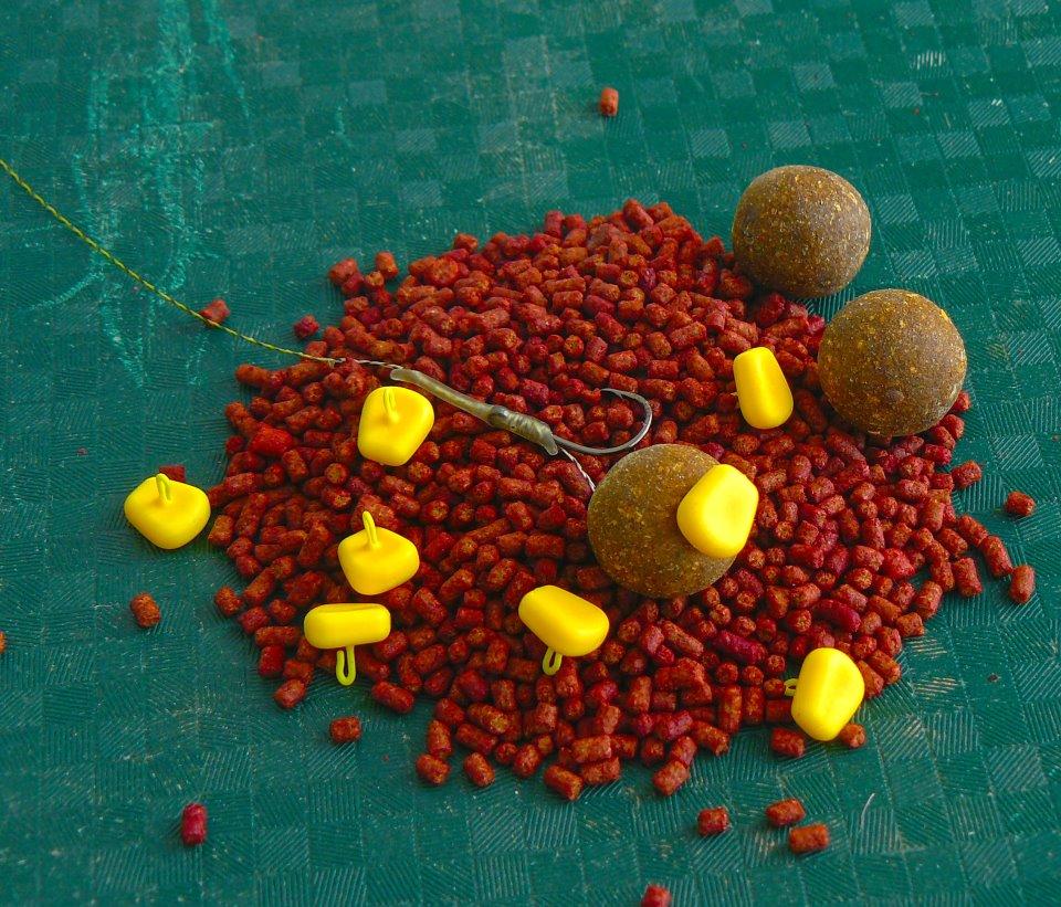 diverse - 42525136878769648436494377621n.jpg